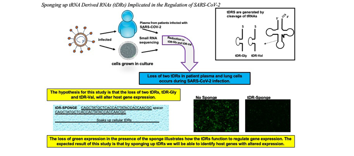 graphical abstract of project