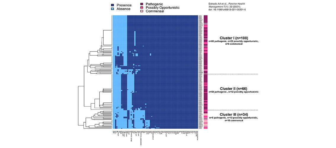 Heatmap illustrating the presence and absence of 71 previously published virulence-associated genes in 208 isolates