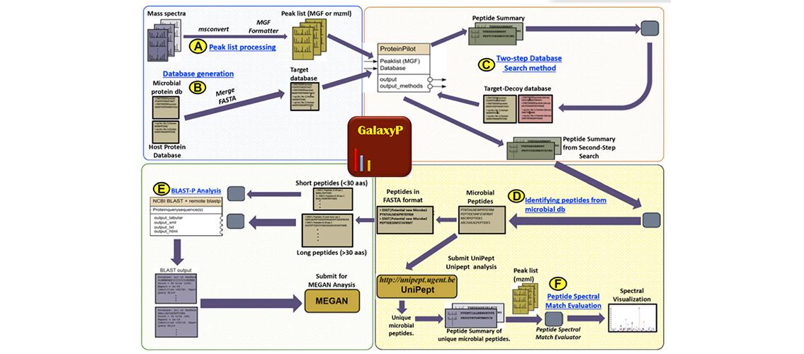 Galaxy flow chart