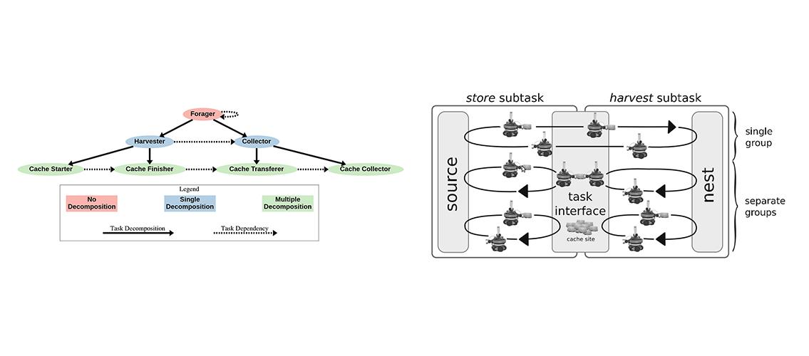 graphical representation of foraging task allocation