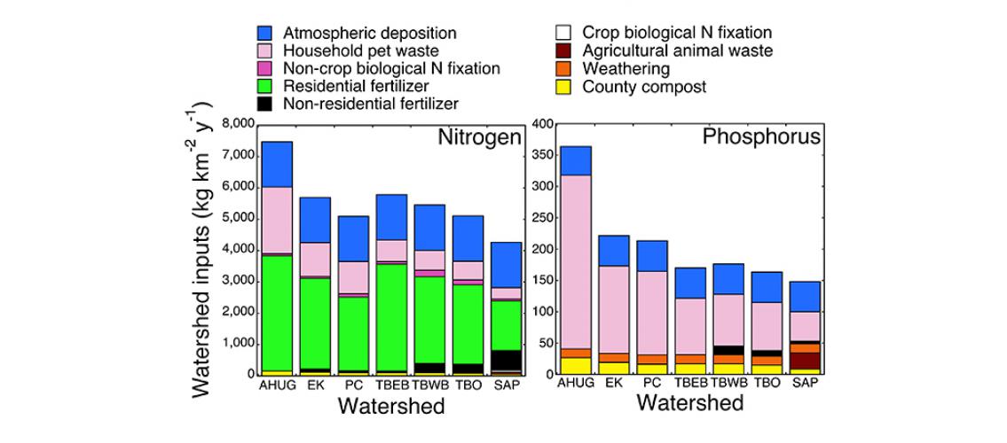 graphs showing nutrient inputs of nitrogen and phosphorus for various watersheds