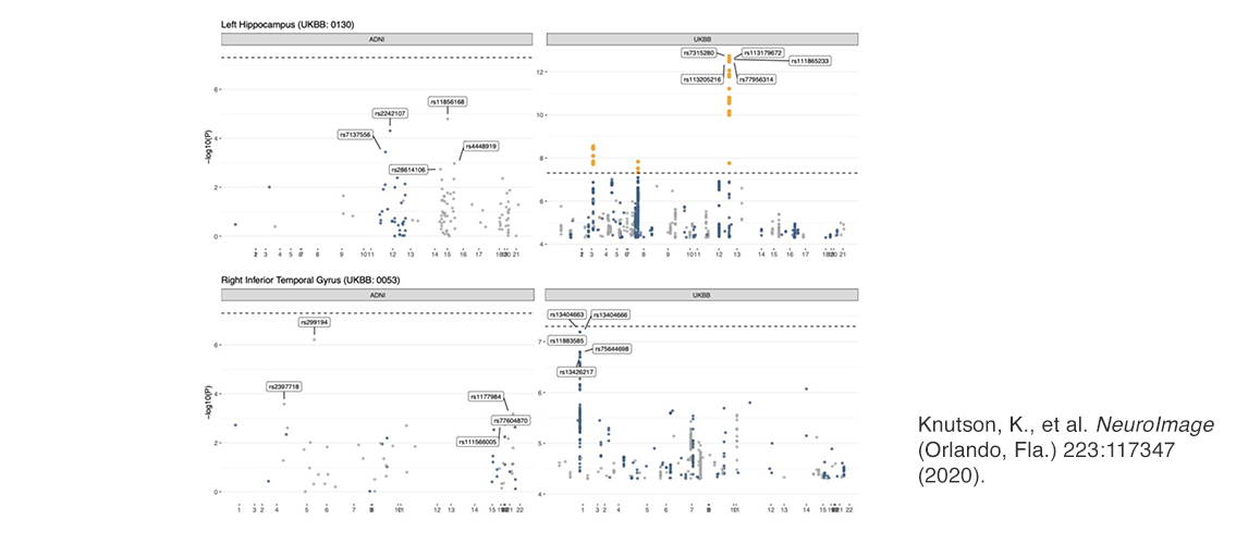 Manhattan Plots reflecting genetic architecture for two significant endophenotypes in Alzheimer’s Disease