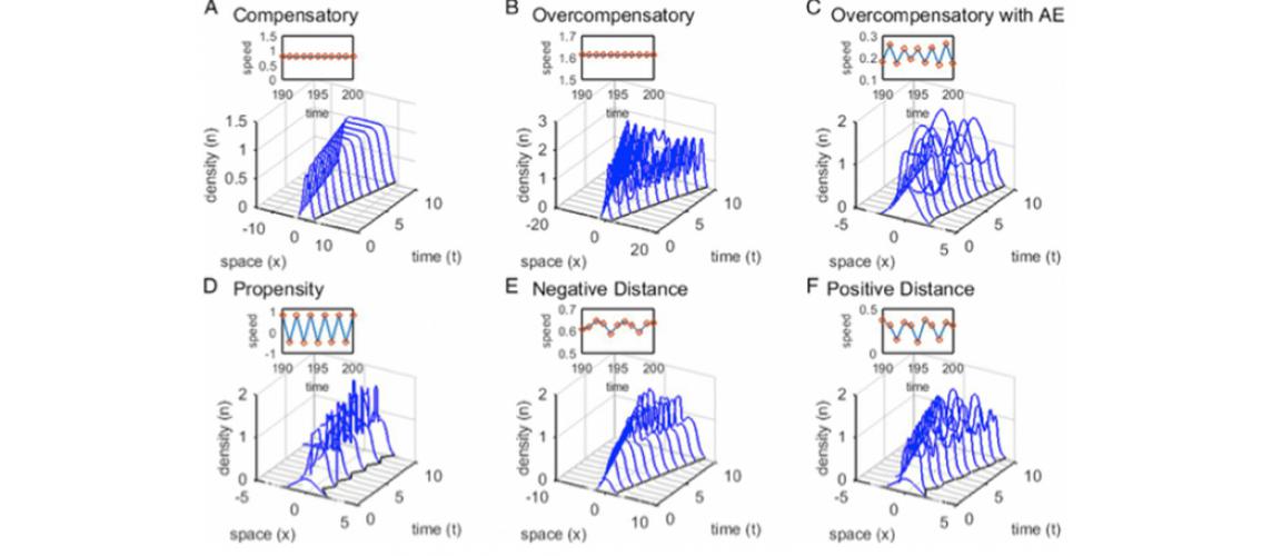 graphs showing plants invasion dynamics under different types of density dependence and dispersal