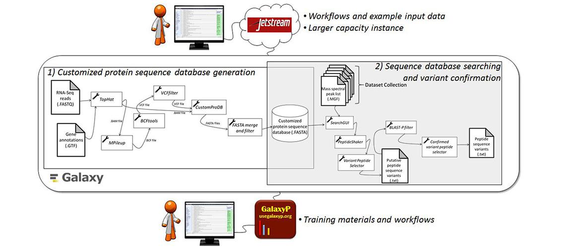 graphic showing workflows for proteogenomics Galaxy tool