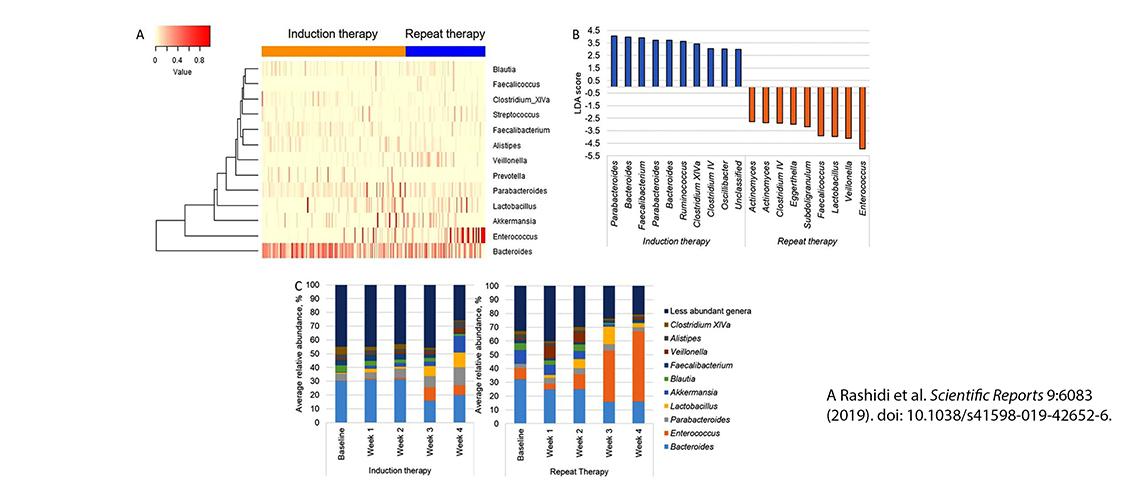 graphs showing composition of microbial communities during induction and repeat therapy