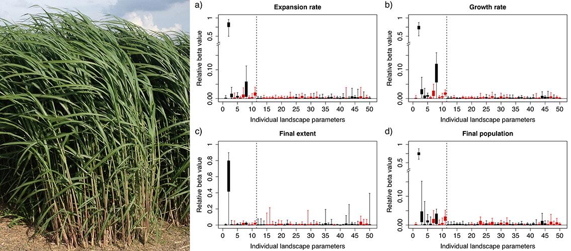 split screen of giant Miscanthus grass on the left, plots of relative importance values of landscape characteristics