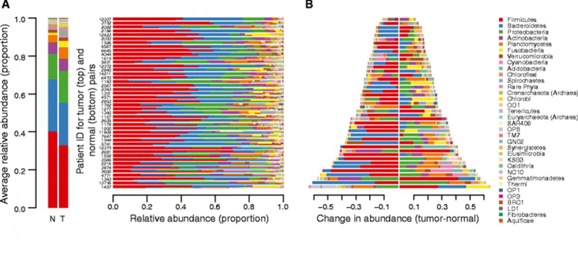 graphs showing microbiome population