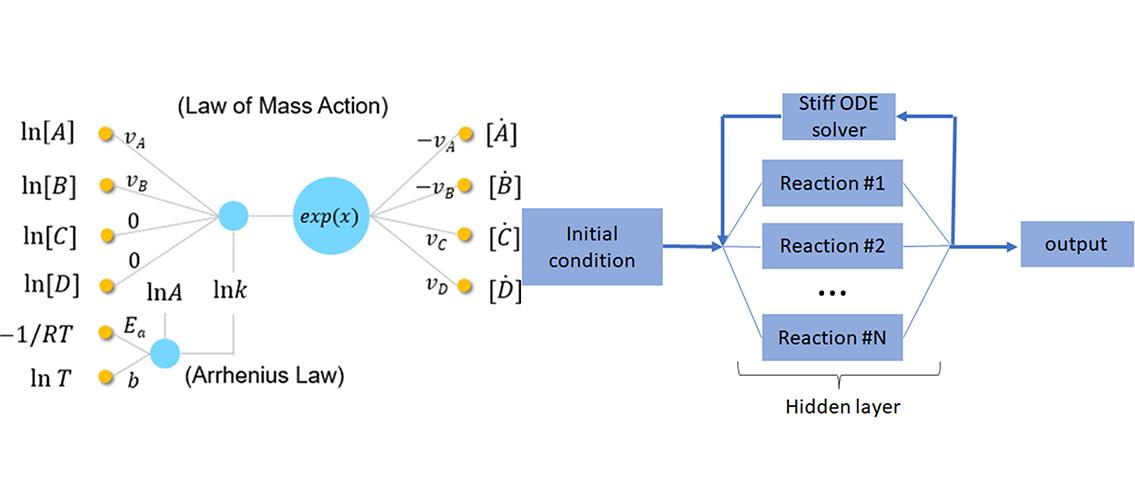 structure of the neural net used in this study