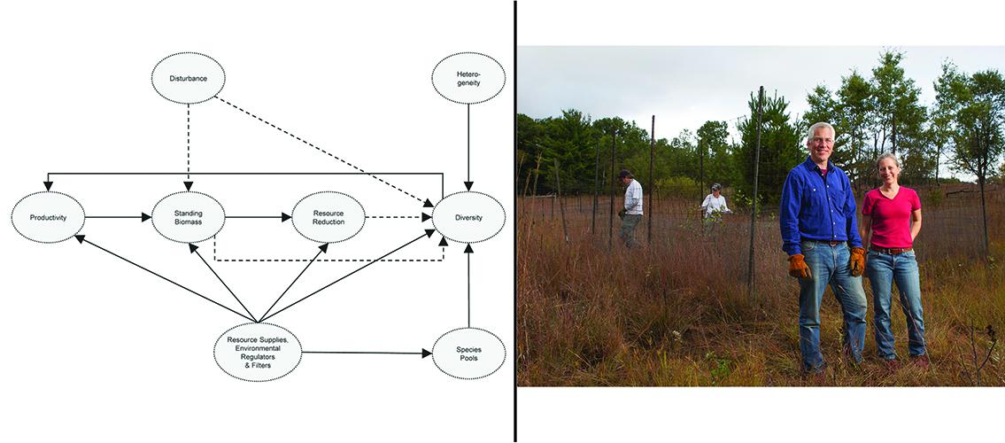 graph of integrated model and photo of researchers at NutNet site