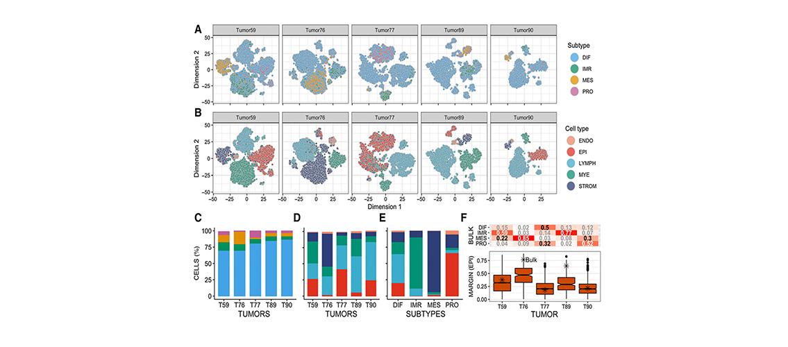Graphs showing composition of high-grade serous ovarian tumors at single-cell level