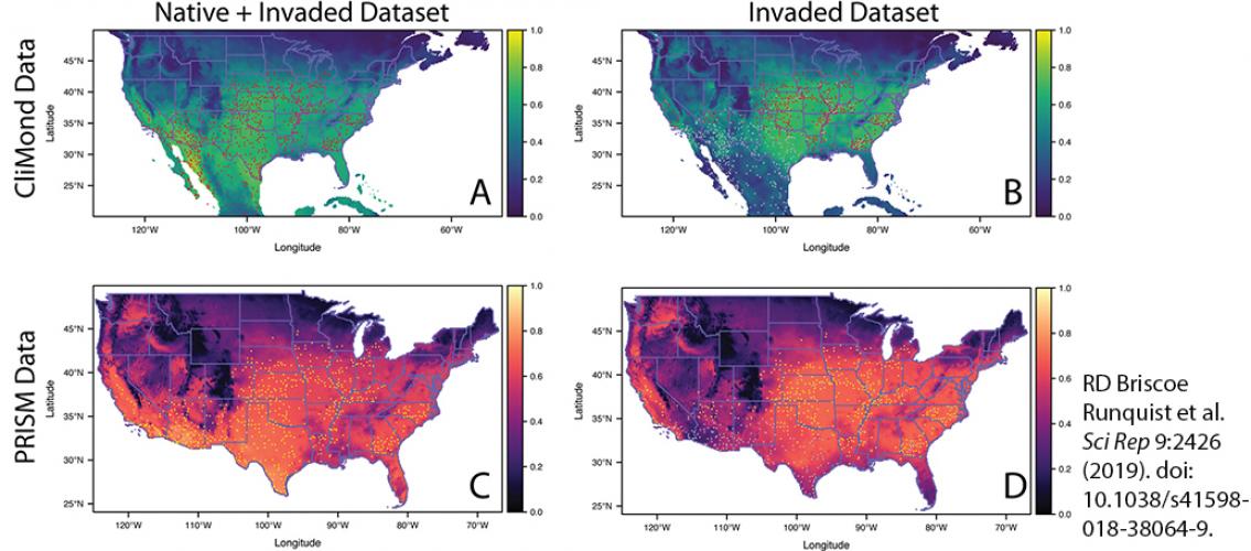 maps showing spread of Palmer amaranth predicted by various models