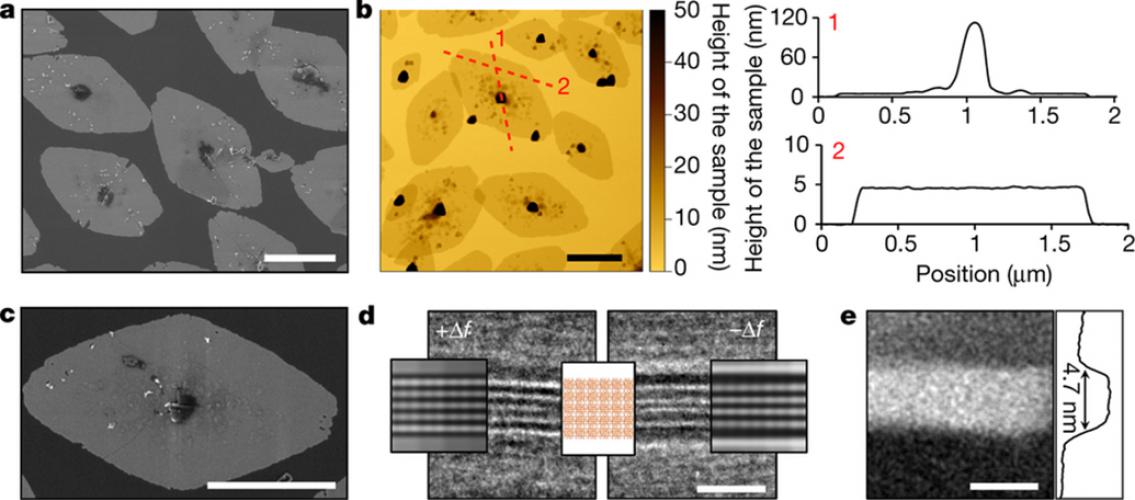 scans of zeolite nanosheets 