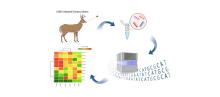 visual abstract of performing RNA-seq analysis to discover CED biomarkers