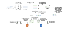 graphical abstract of sequencing process