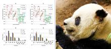 graphs of genomic inbreeding coefficients; picture of giant panda