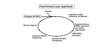 project hypothesis - a feed-forward loop