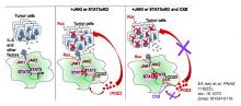 graphical rendering of JAK/STAT inhibitors affecting tumor cells 