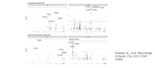 Manhattan Plots reflecting genetic architecture for two significant endophenotypes in Alzheimer’s Disease