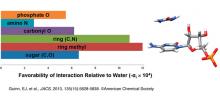 graph of interaction relative to water