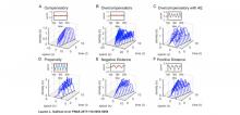 graphs showing plants invasion dynamics under different types of density dependence and dispersal