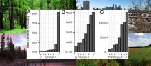 graph of random forest regression analysis results, with a background of multiple types of landscape