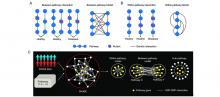 diagrams showing pathway-level genetic interaction models