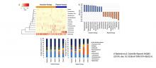 graphs showing composition of microbial communities during induction and repeat therapy