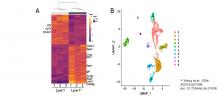 macrophage graphics generated by transcriptional profiling